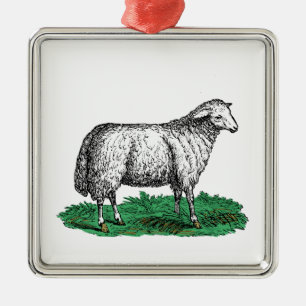 Vintage Sheep Ewe Farm Animals Drawing C Metal Ornament