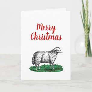 Vintage Sheep Ewe Farm Animals Drawing C Xmas Holiday Card