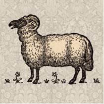 Vintage Sheep Farm Animal Illustration Cutout