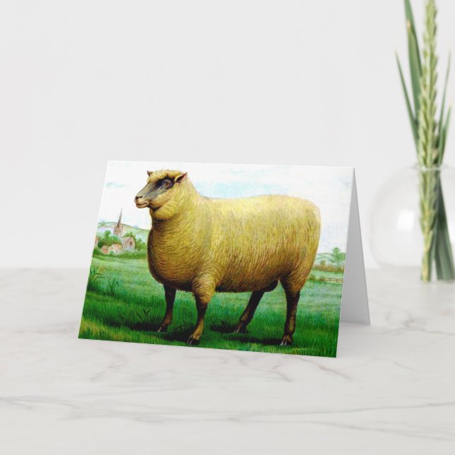 Vintage sheep lamb green pasture painting card (Front)