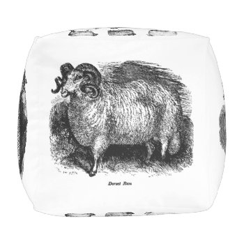 Vintage Sheep Pouf by lostlit at Zazzle