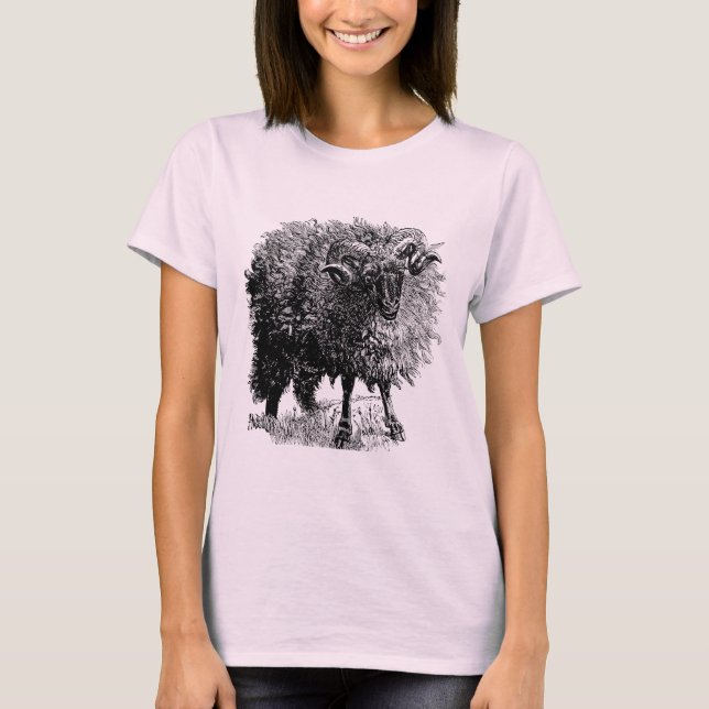 Vintage Sheep T-Shirt (Front)