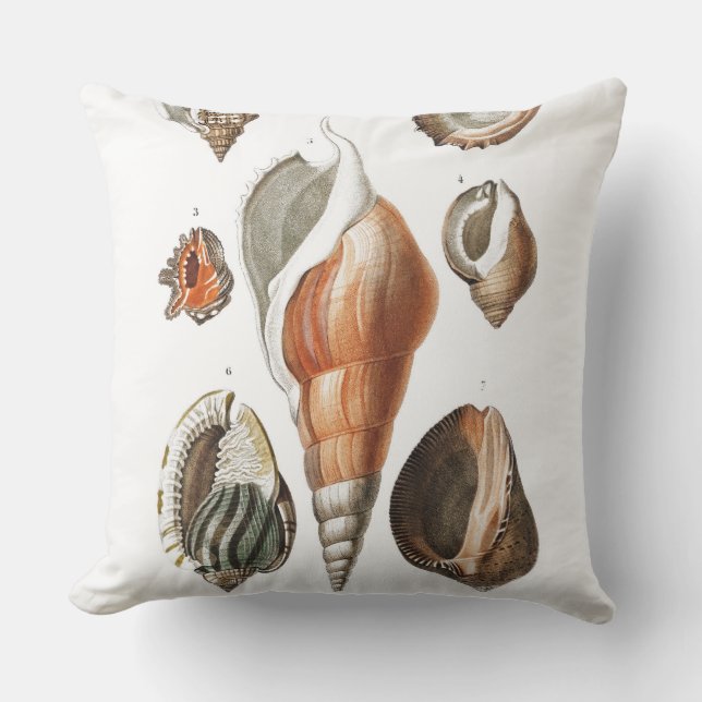 Vintage Shell Illustration Pillow (Front)