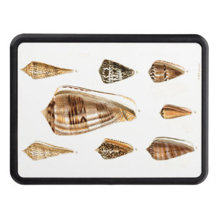Vintage Shelling Trinket Design Hitch Cover