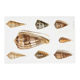 Vintage Shelling Trinket Design Placemat