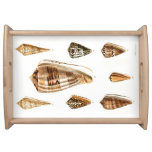 Vintage Shelling Trinket Design Serving Tray