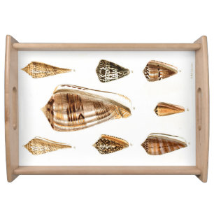 Vintage Shelling Trinket Design Serving Tray