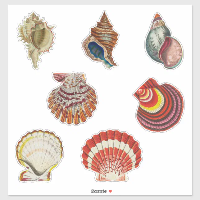 Pinterest Stickers Shells Vintage Shells Sticker Set | Zazzle