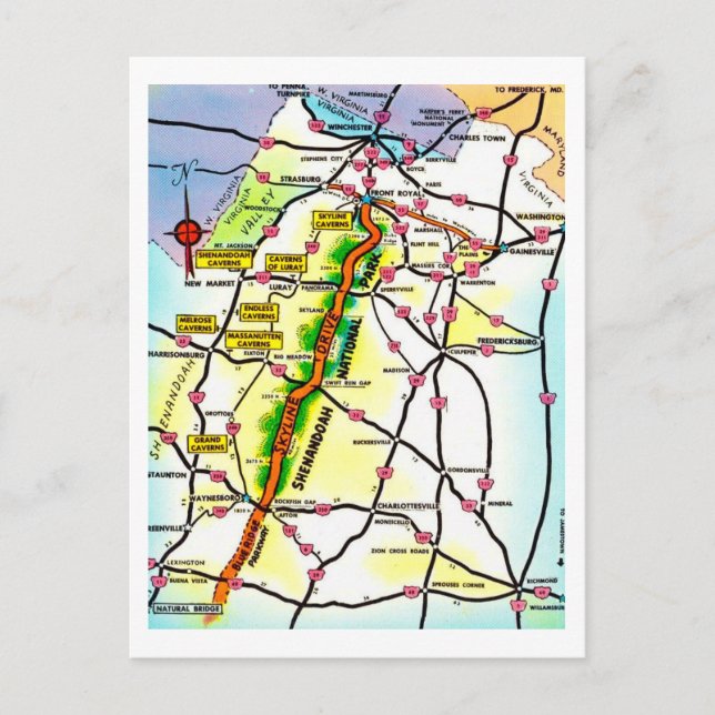 Vintage Shenandoah Park VA Postcard (Front)