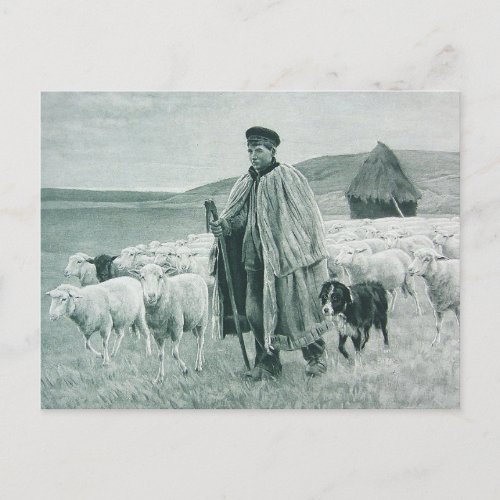 Vintage Shepherd With Sheep Holiday Postcard