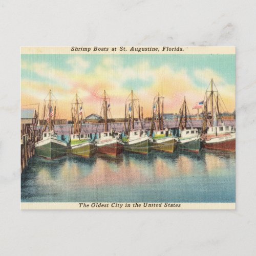 Vintage Shrimp Boats St Augustine Florida Postcard