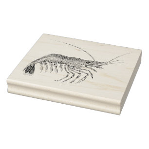 Vintage Shrimp Illustrated Rubber Art Stamp