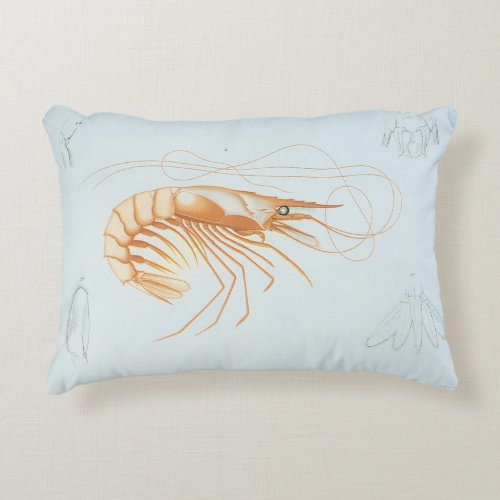 Vintage Shrimp Marine Life Ocean Animals Anatomy Accent Pillow