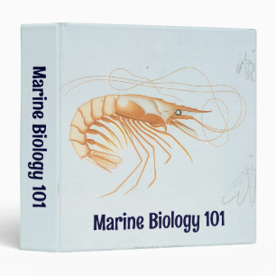 Vintage Shrimp, Marine Life Ocean Animals Anatomy Binder