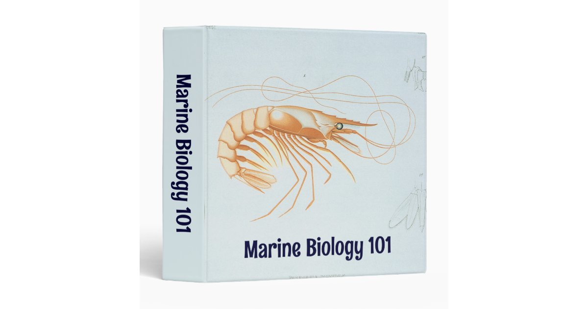 Vintage Shrimp, Marine Life Ocean Animals Anatomy Binder
