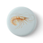 Vintage Shrimp, Marine Life Ocean Animals Anatomy Button