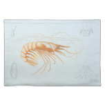 Vintage Shrimp, Marine Life Ocean Animals Anatomy Cloth Placemat