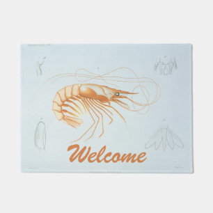Vintage Shrimp, Marine Life Ocean Animals Anatomy Doormat