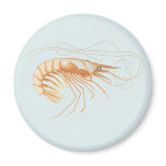 Vintage Shrimp, Marine Life Ocean Animals Anatomy Magnet