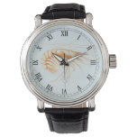 Vintage Shrimp, Marine Life Ocean Animals Anatomy Watch