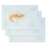 Vintage Shrimp, Marine Life Ocean Animals Anatomy Wrapping Paper Sheets