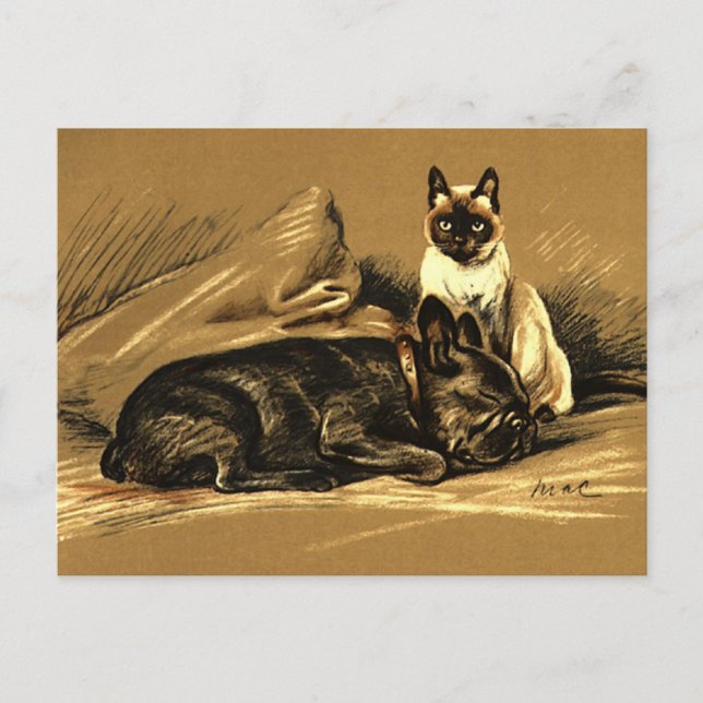 Vintage Siamese Cat and French Bulldog Postcard (Front)