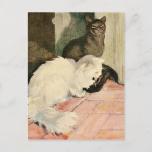 Vintage Silky Black Cat & Fluffy White Feline Announcement Postcard