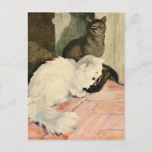 Vintage Silky Black Cat  Fluffy White Feline Announcement Postcard