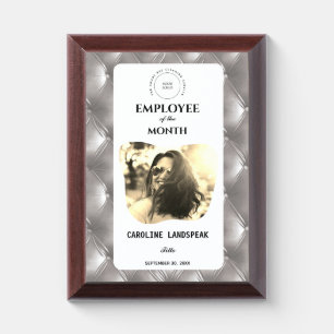 Vintage Silver Silk Quilted Tufted Office Award Plaque