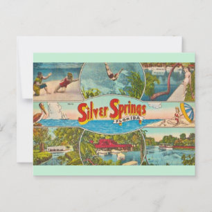 Vintage Silver Springs Attraction Postcard