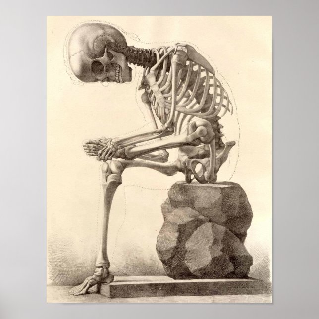 Vintage Sitting Skeleton Poster Print (Front)
