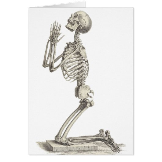 Vintage Skeleton (Front)