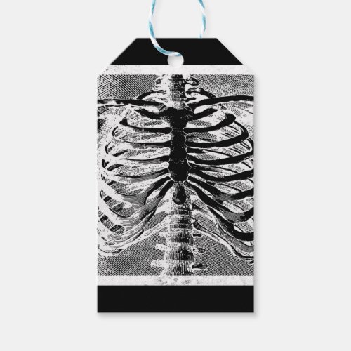 Vintage Skeleton Bones Torso Body Halloween Gift Tags