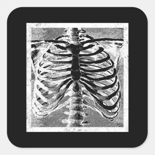 Vintage Skeleton Bones Torso Body Halloween Square Sticker