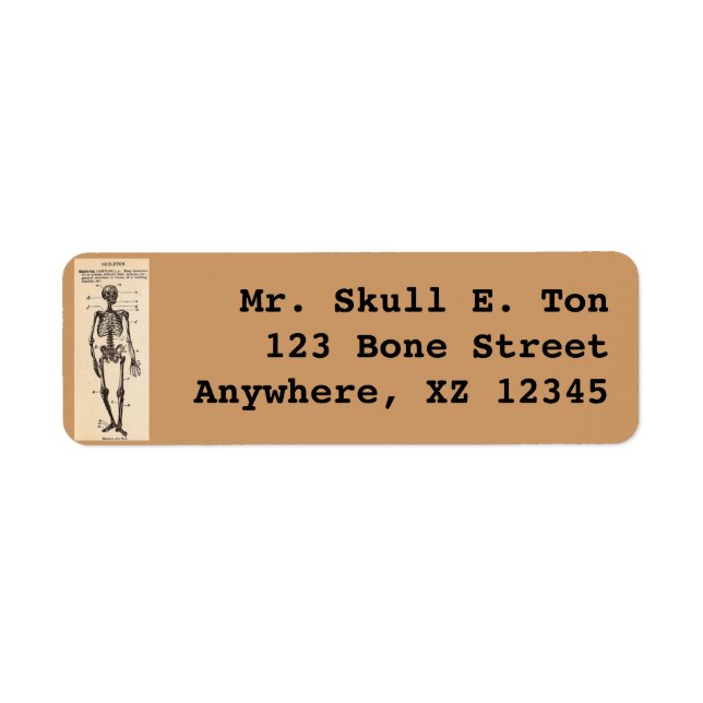 Vintage Skeleton Definition Label (Front)