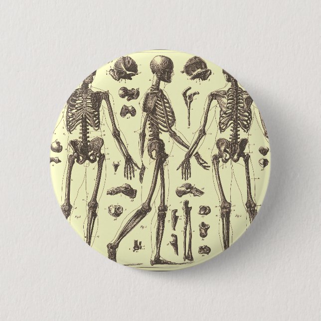 Vintage Skeleton Diagrams Button (Front)