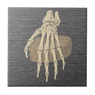 Vintage Skeleton Hand - Anatomy Ceramic Tile