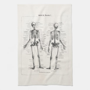 Vintage Skeleton Human Anatomy Bone Bones Skull Towel