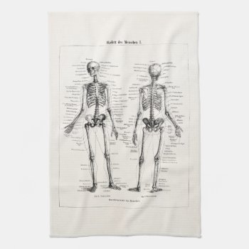 Vintage Skeleton Human Anatomy Bone Bones Skull Towel by SilverSpiral at Zazzle