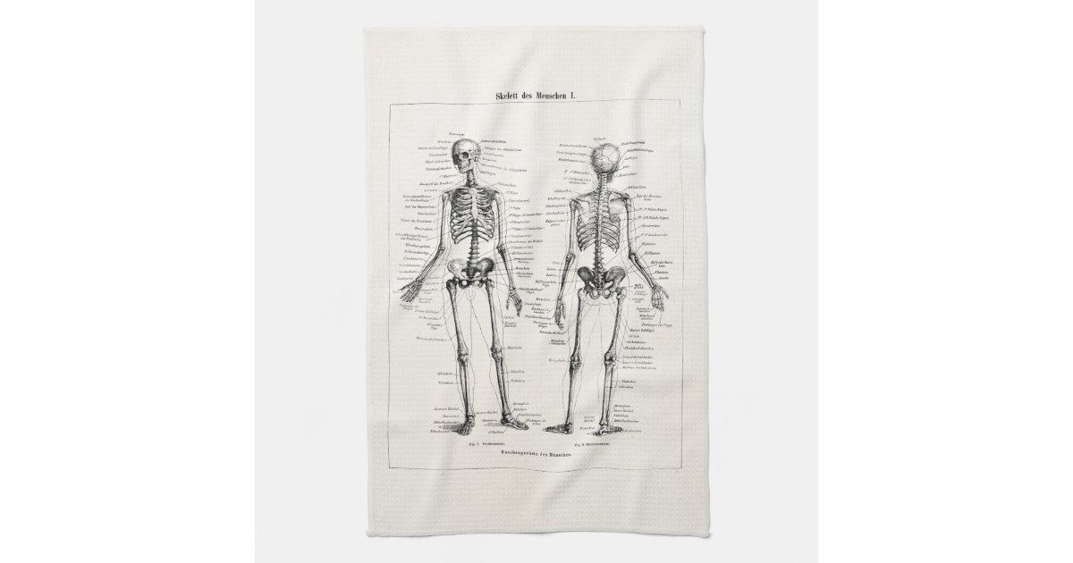 Vintage Skeleton Human Anatomy Bone Bones Skull Towel | Zazzle