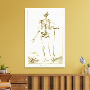 Vintage Skeleton, Human Anatomy by Denis Diderot Canvas Print