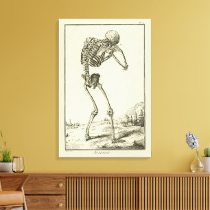 Vintage Skeleton, Human Anatomy by Denis Diderot Canvas Print