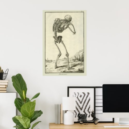 Vintage Skeleton Human Anatomy by Denis Diderot Poster