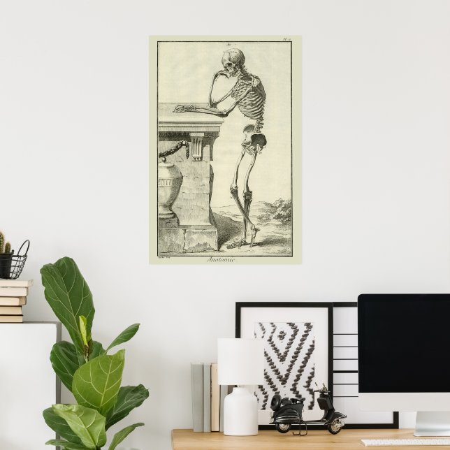 Vintage Skeleton, Human Anatomy by Denis Diderot Poster (Home Office)