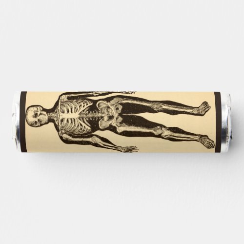 Vintage skeleton illustration aged whimsical flat  breath savers mints