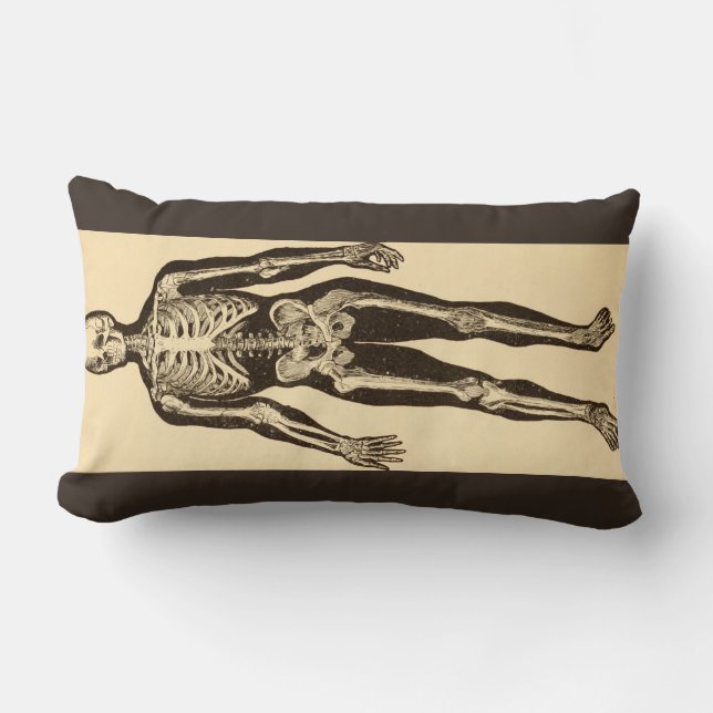 Vintage skeleton illustration aged whimsical  lumbar pillow (Front)