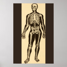 Vintage skeleton illustration aged whimsical