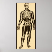 Vintage skeleton illustration aged whimsical