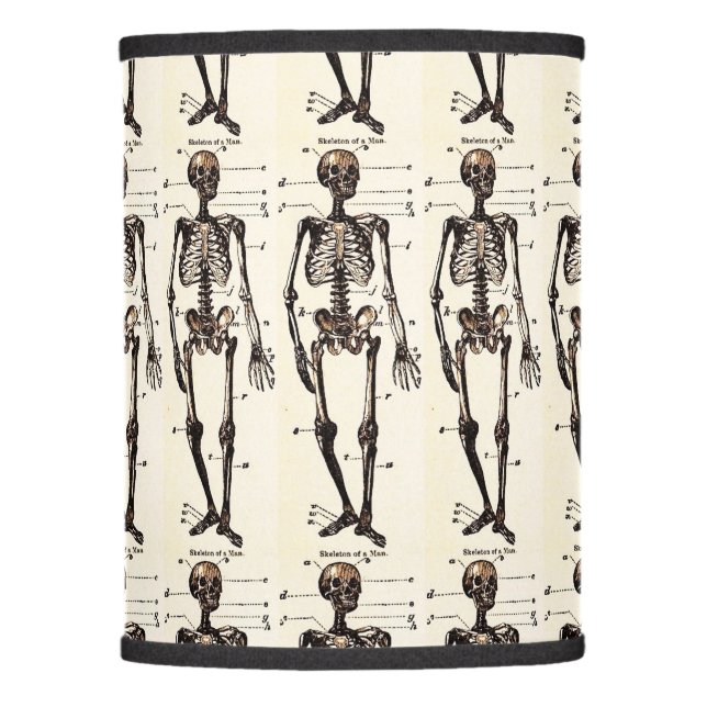 Vintage Skeleton Lamp Shade (Front)