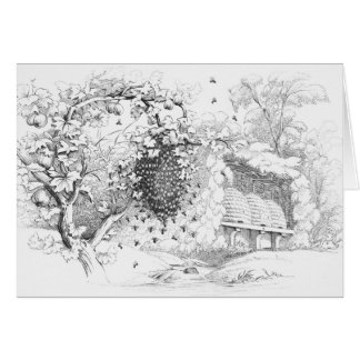 Vintage Skep Bee Hives Drawing Cards
